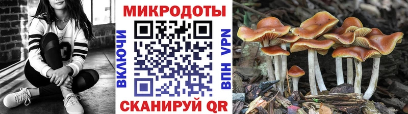 Купить закладки  Кремёнки  Псилоцибиновые грибы Cubensis 